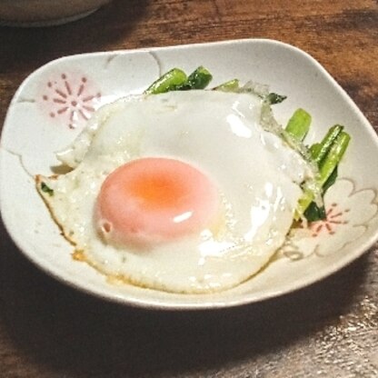 先日もありがとうございます♫
小松菜も目玉焼きも大好きです♡
とても美味しいですね(^^)
レシピもありがとうございます(^^)v